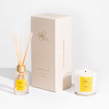 Highland Gorse Gift Box