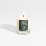 Scots Pine Miniature
