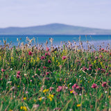Machair Flowers Candle
