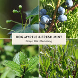 Bog Myrtle & Fresh Mint Candle