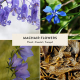Machair Flowers Miniature