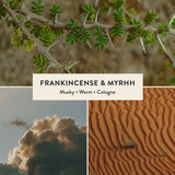 Frankincense & Myrrh Reed Diffuser