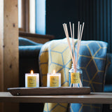 Highland Gorse Miniature and reed diffuser lifestyle
