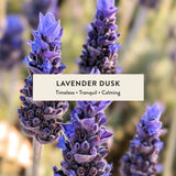 Lavender Dusk Black Tumbler