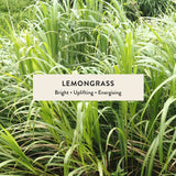 Lemongrass Reed Diffuser