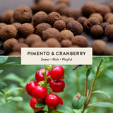 Pimento & Cranberry Reed Diffuser