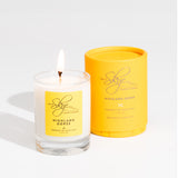 Highland Gorse Miniature