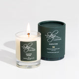 Scots Pine Miniature