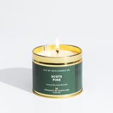 Scots Pine Travel Container