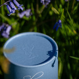 Scottish Bluebell Candle