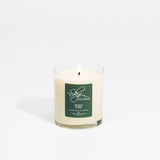 Scots Pine Candle