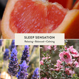 Sleep Sensation Mini