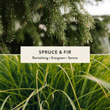 Spruce & Fir Reed Diffuser