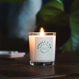 Spruce & Fir Mini
