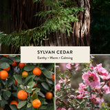 Sylvan Cedar Reed Diffuser