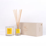 Highland Gorse Gift Box