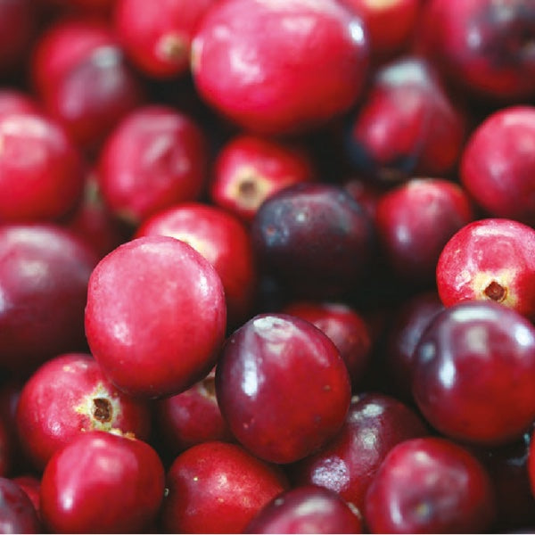 Pimento & Cranberries Reed Diffuser Bundle