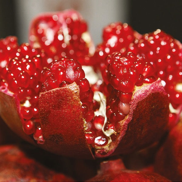 Pomegranate & Plum Reed Diffuser Bundle